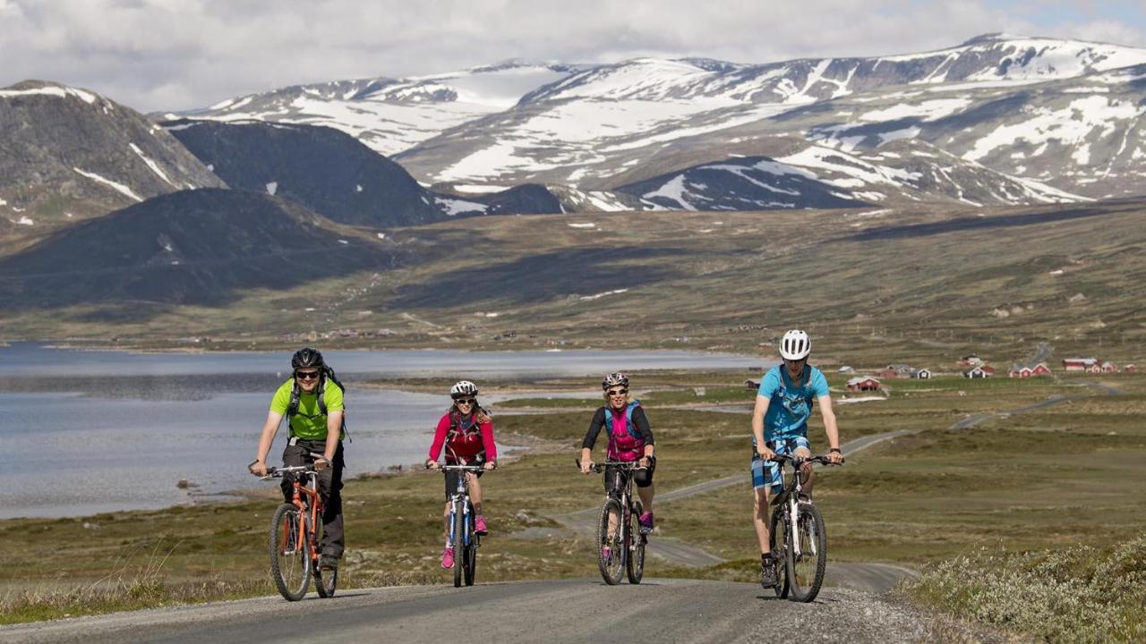 Haugseter Fjellstue As Ξενοδοχείο Beitostolen Εξωτερικό φωτογραφία